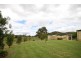 Daruka NSW 2340