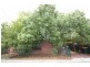 Tamworth NSW 2340