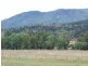 644 Garthowen Road, Attunga NSW 2345