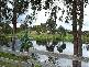 Northcliffe WA 6262