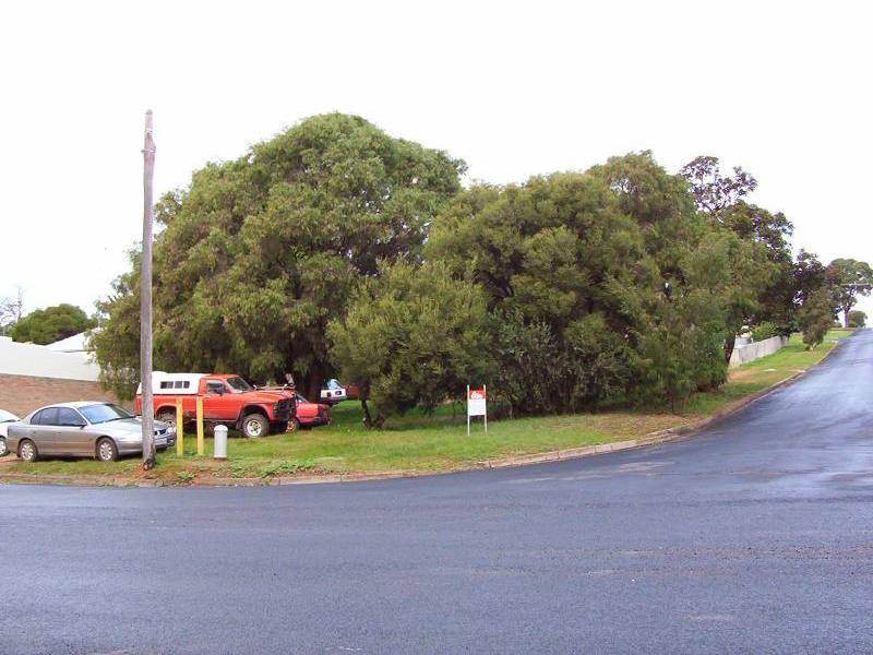 Pemberton WA 6260