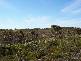 Northcliffe WA 6262