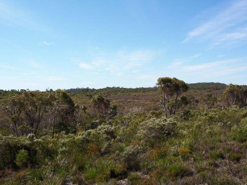 Northcliffe WA 6262