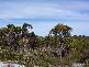 Northcliffe WA 6262
