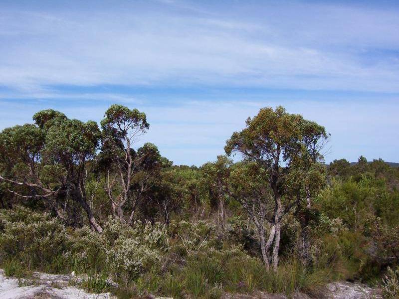 Northcliffe WA 6262
