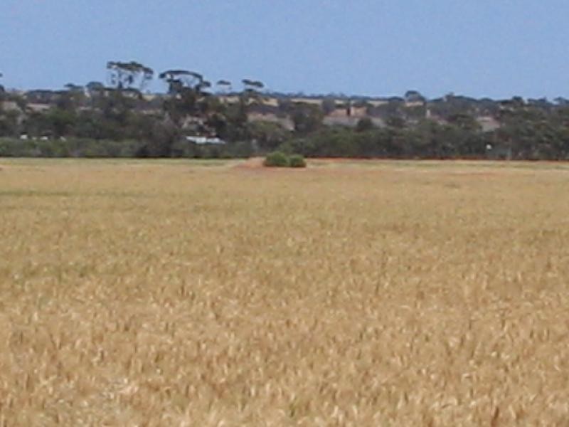 360/ Goodhill Road, Moorine Rock WA 6425