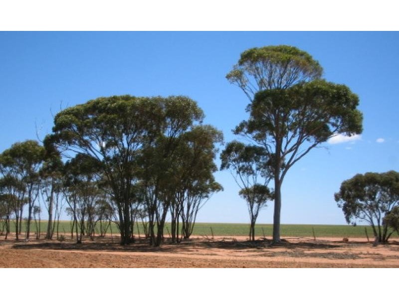 360/ Goodhill Road, Moorine Rock WA 6425