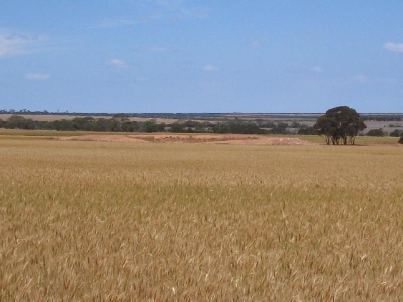 360/ Goodhill Road, Moorine Rock WA 6425