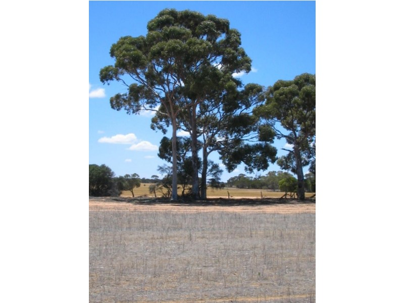 360/ Goodhill Road, Moorine Rock WA 6425