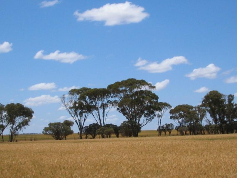 360/ Goodhill Road, Moorine Rock WA 6425