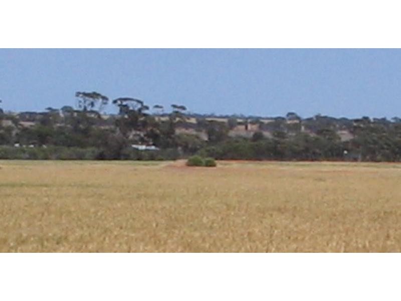 360/ Goodhill Road, Moorine Rock WA 6425