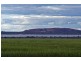 Westonia WA 6423
