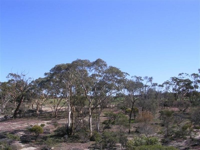 Kellerberrin WA 6410