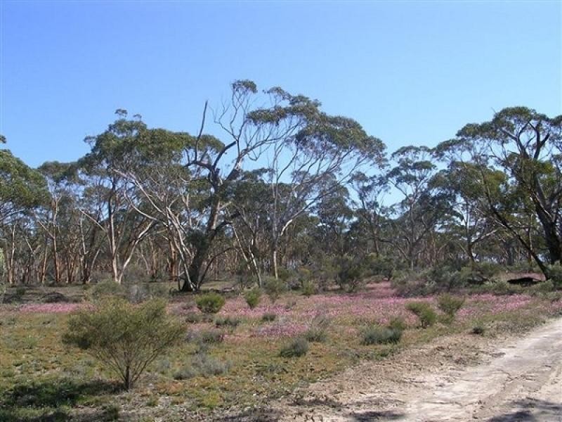 Kellerberrin WA 6410