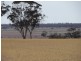 41 Last Road, Nukarni WA 6480