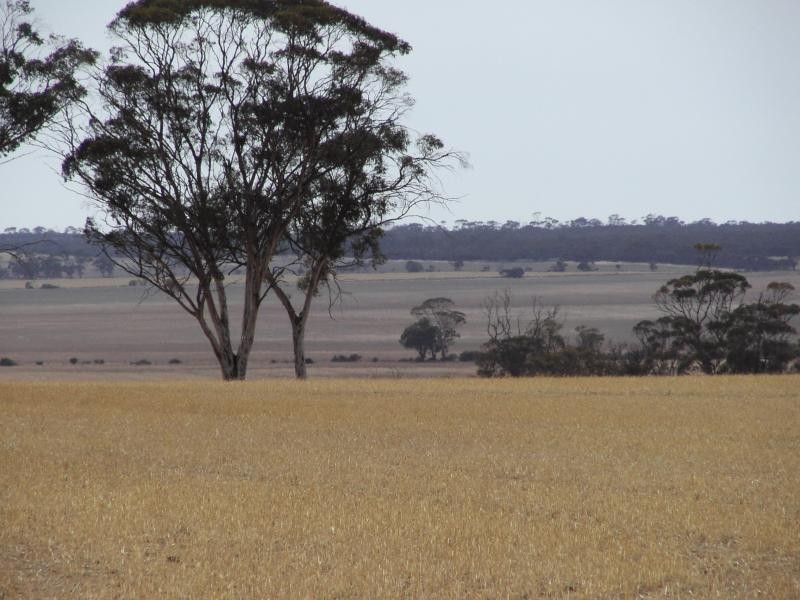 41 Last Road, Nukarni WA 6480