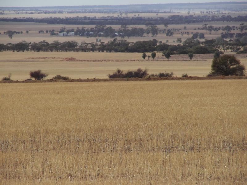 41 Last Road, Nukarni WA 6480