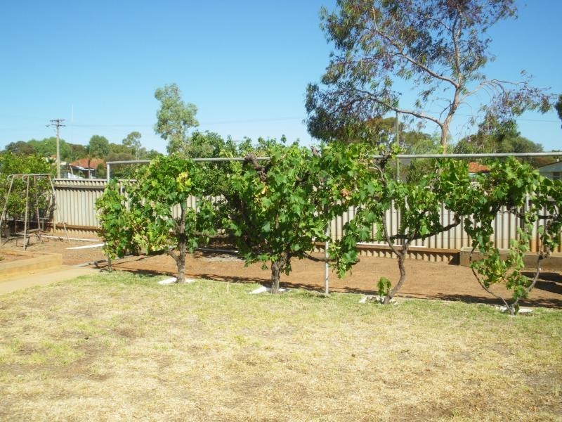 105 ALTAIR STREET, Southern Cross WA 6426