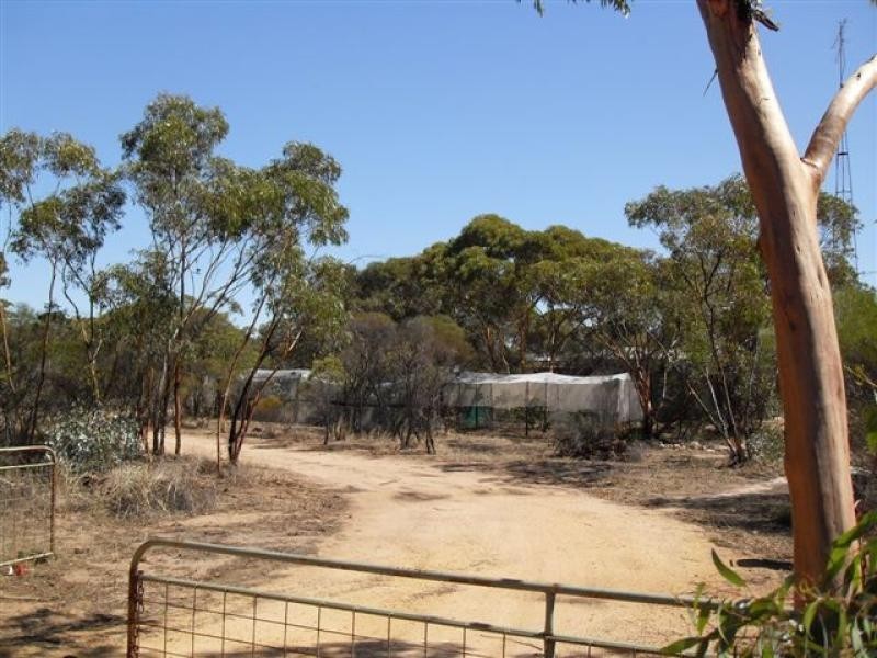 137 White Street, Burracoppin WA 6421