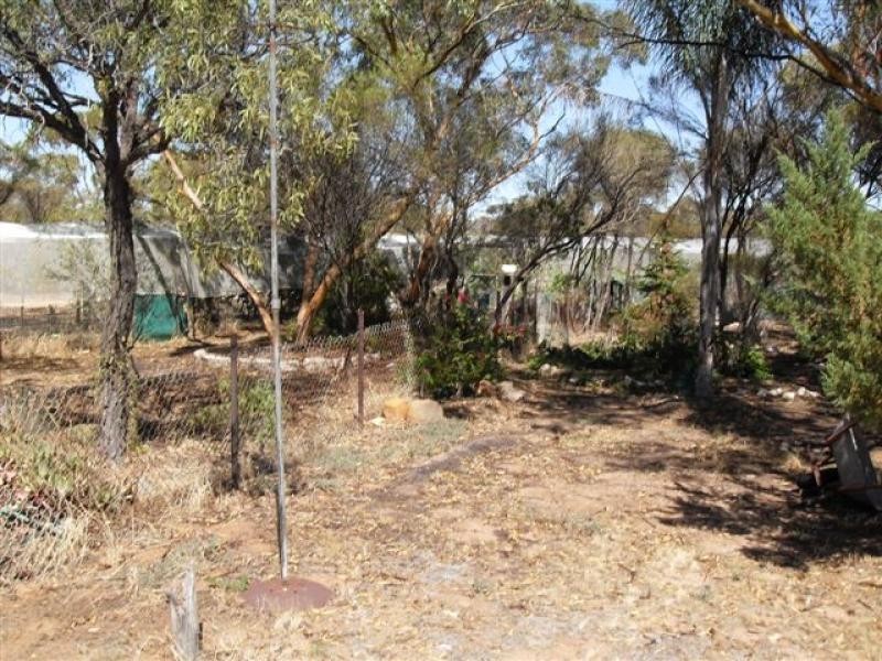 137 White Street, Burracoppin WA 6421