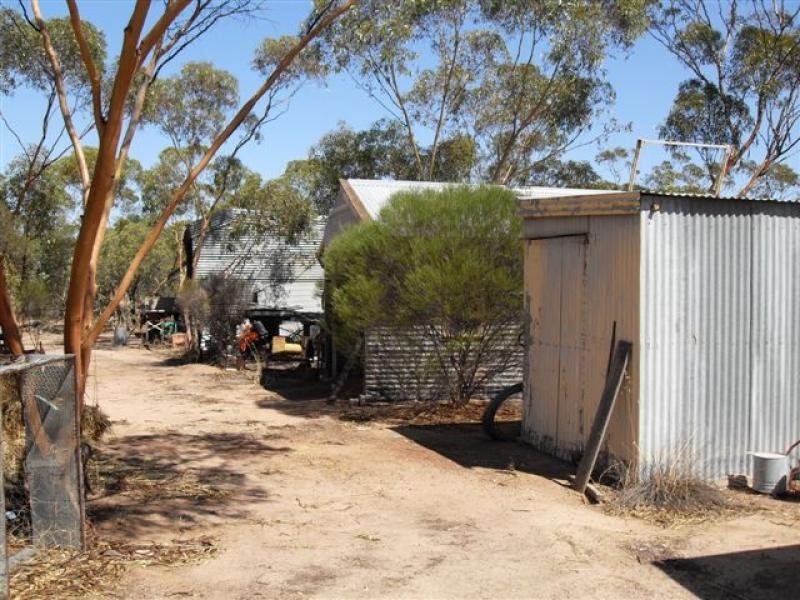 137 White Street, Burracoppin WA 6421