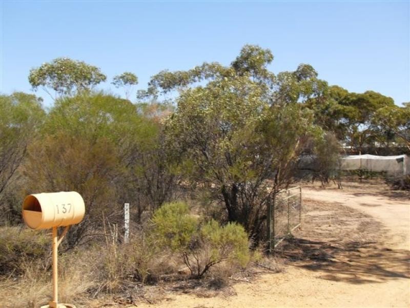 137 White Street, Burracoppin WA 6421