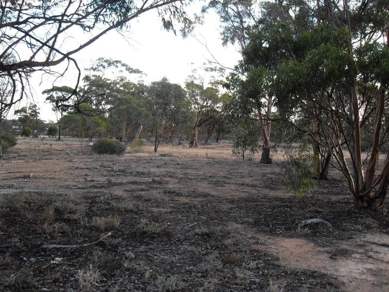 6 Railway Avenue, Nungarin WA 6490