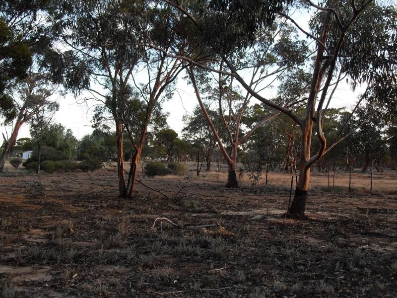 6 Railway Avenue, Nungarin WA 6490