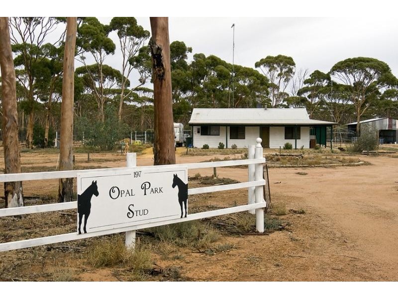 Lot 197/ Hewitt Street, Kununoppin WA 6489