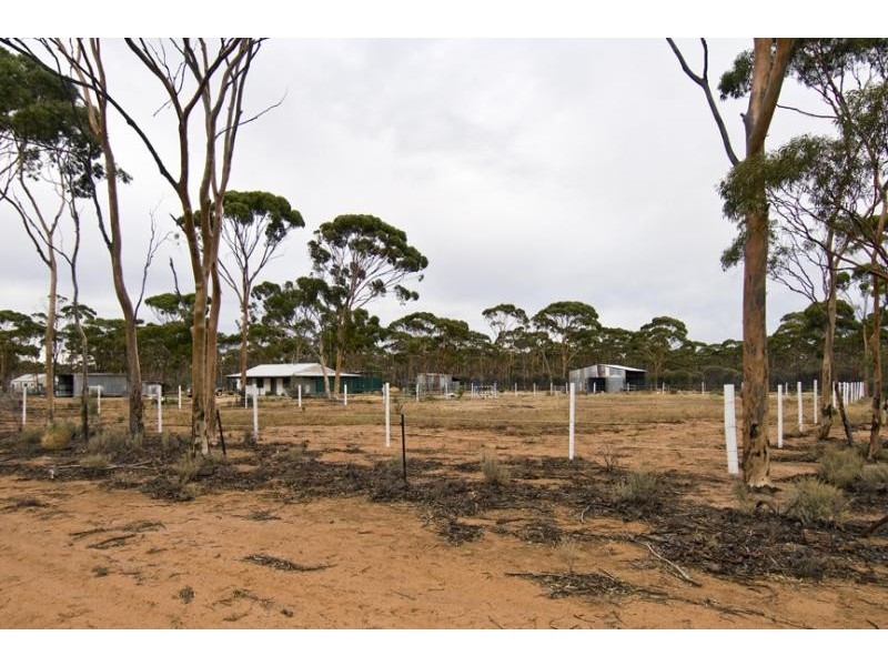 Lot 197/ Hewitt Street, Kununoppin WA 6489