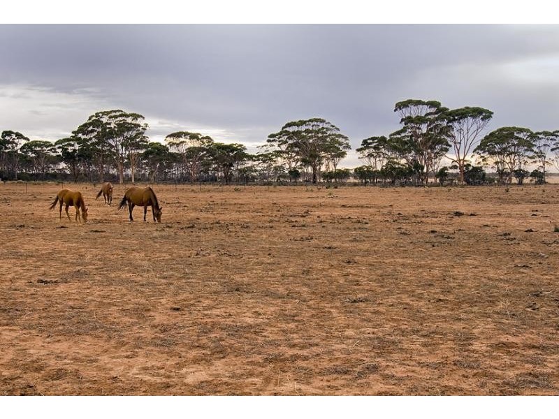 Lot 197/ Hewitt Street, Kununoppin WA 6489