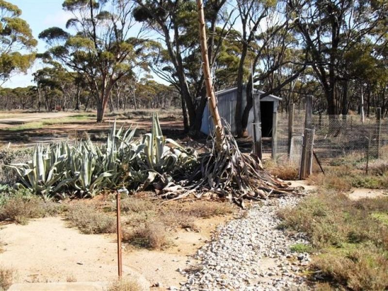 17 QUARTZ STREET, Westonia WA 6423