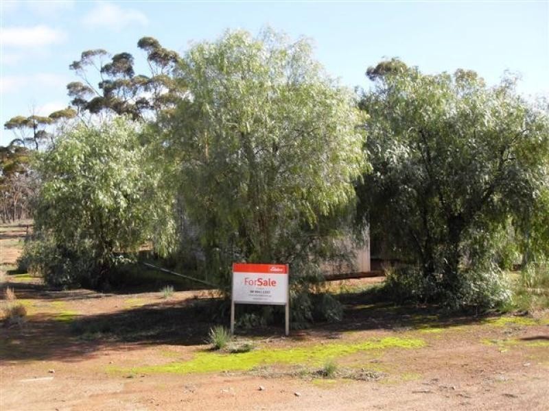 17 QUARTZ STREET, Westonia WA 6423