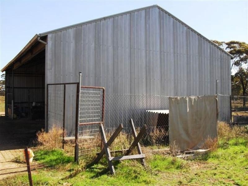 77/79 WOLFRAM STREET, Westonia WA 6423