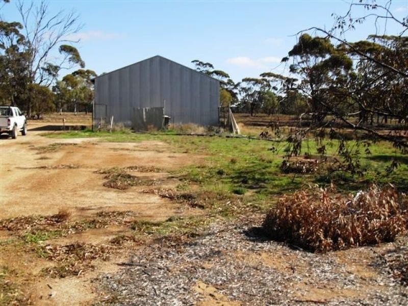 77/79 WOLFRAM STREET, Westonia WA 6423