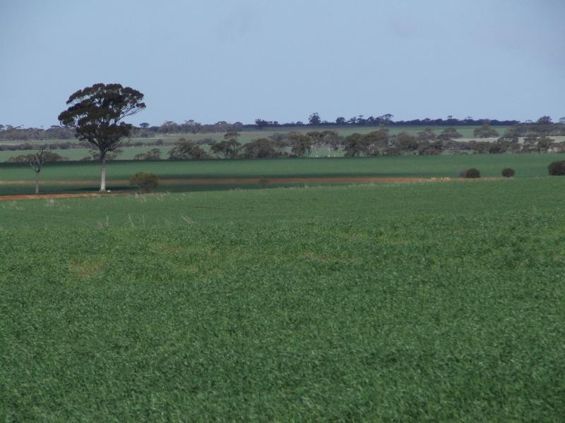 Narembeen WA 6369