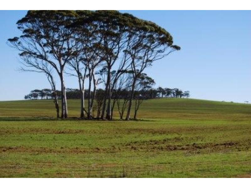 Lot 3251/ Kondinin-Narembeen Road, South Kumminin WA 6368
