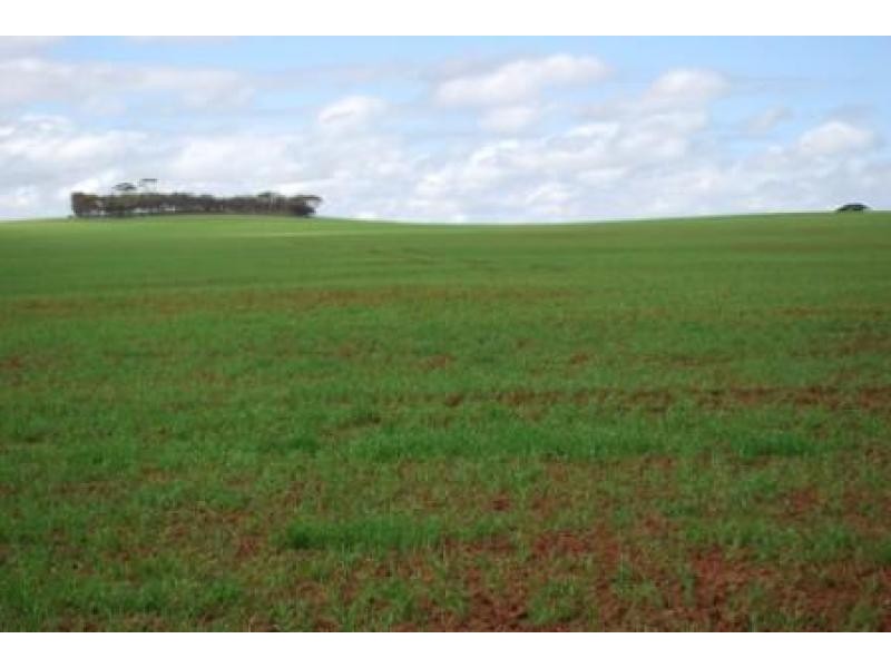 Lot 3251/ Kondinin-Narembeen Road, South Kumminin WA 6368