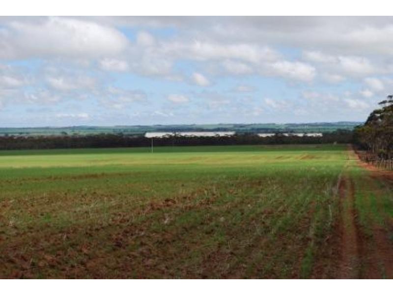 Lot 3251/ Kondinin-Narembeen Road, South Kumminin WA 6368