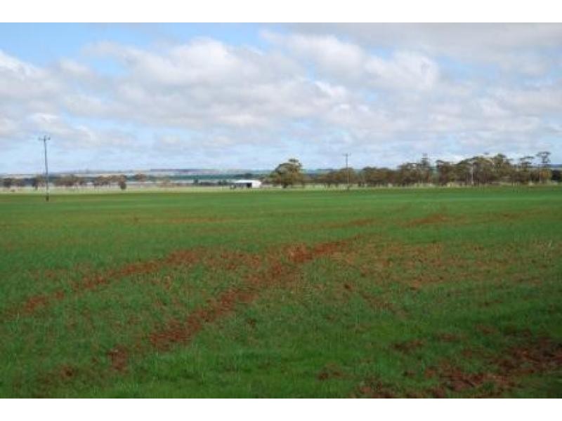 Lot 3251/ Kondinin-Narembeen Road, South Kumminin WA 6368