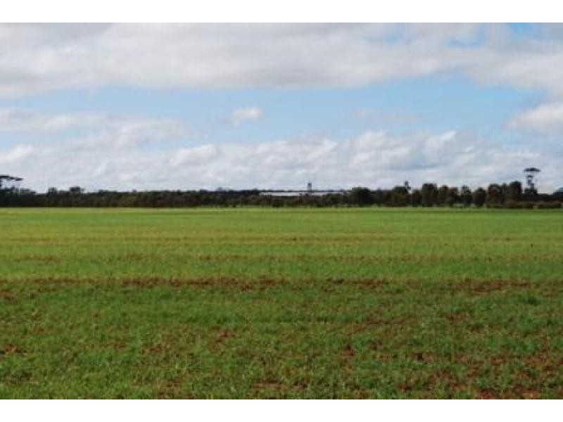 Lot 3251/ Kondinin-Narembeen Road, South Kumminin WA 6368