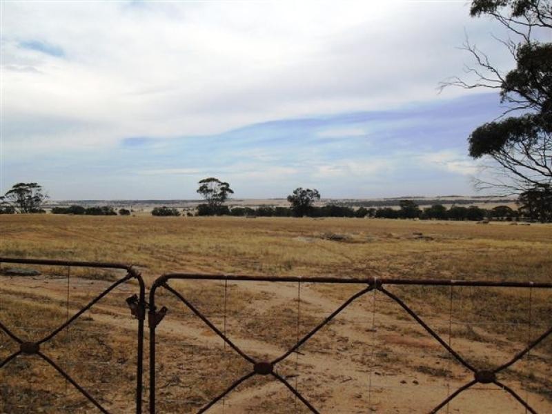 79 Goldfields Road, Kellerberrin WA 6410