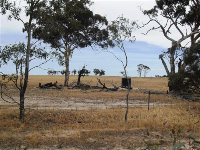 79 Goldfields Road, Kellerberrin WA 6410