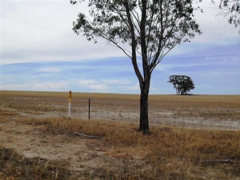 79 Goldfields Road, Kellerberrin WA 6410