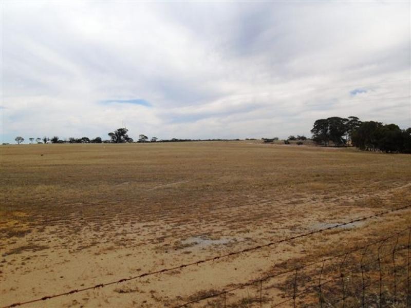 79 Goldfields Road, Kellerberrin WA 6410