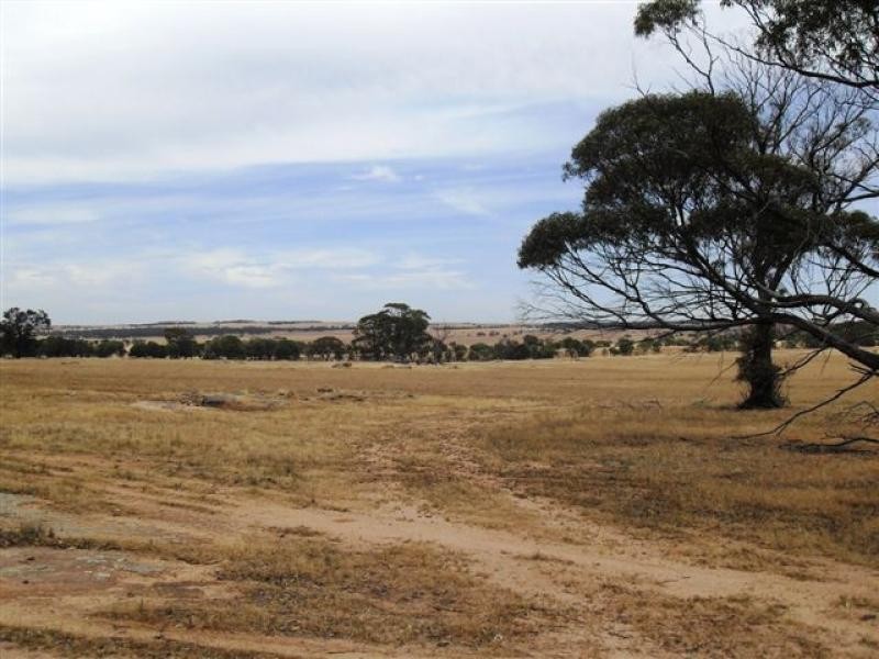 79 Goldfields Road, Kellerberrin WA 6410