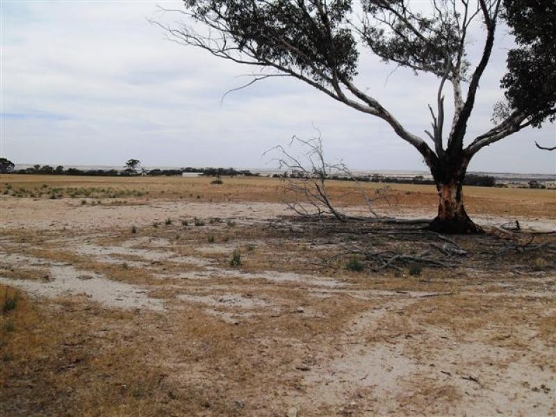 79 Goldfields Road, Kellerberrin WA 6410