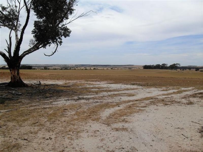 79 Goldfields Road, Kellerberrin WA 6410