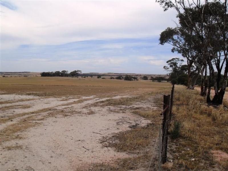 79 Goldfields Road, Kellerberrin WA 6410