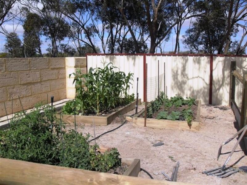 11 Caridi Close, Merredin WA 6415